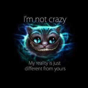 Meet your Posher, Jack jr